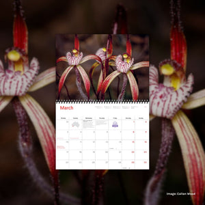 2025 Wilderness Calendar