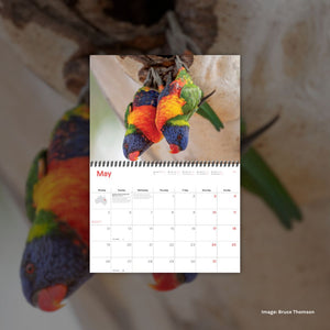 2025 Wilderness Calendar