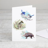 Australian Wildlife & Native Flora Christmas Cards