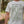 Project Jarrah Forests Organic T-shirt