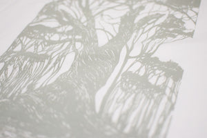 Project Jarrah Forests Organic T-shirt
