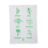 Organic tea towels (3 pack)