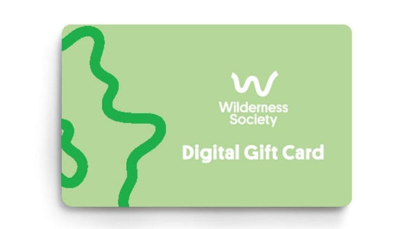 Wilderness Society Gift Card
