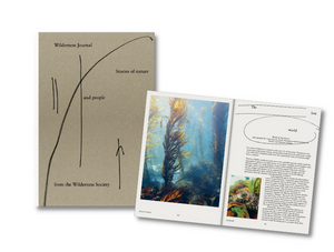 Wilderness Journal: Stories of nature and people